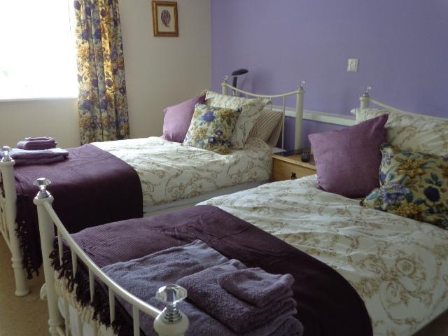 Lodge House B&B Buckland St Mary Phòng bức ảnh